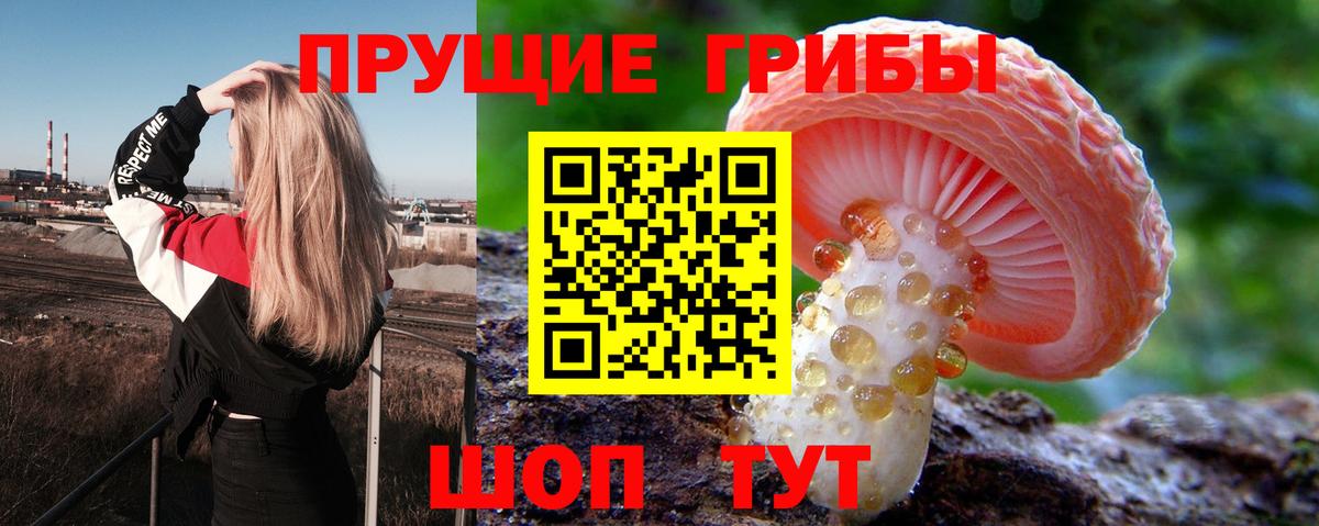 Самара  Псилоцибиновые грибы прущие грибы  наркошоп  Вход с VPN 