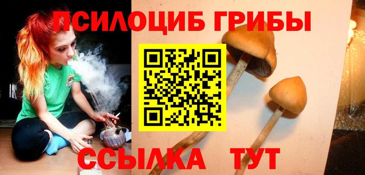 Псилоцибиновые грибы Magic Shrooms Самара